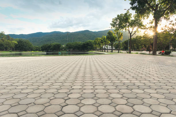 Commercial Driveway Pavers in Llano Grande, TX